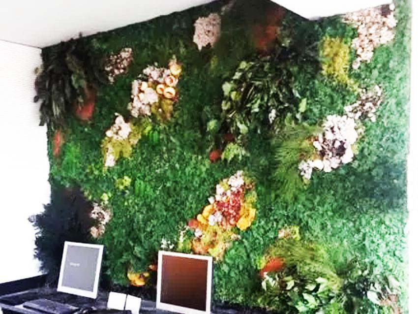 Giardini Vegetali Preservati - Sconti per Fioristi e Aziende - Adatto per Interno