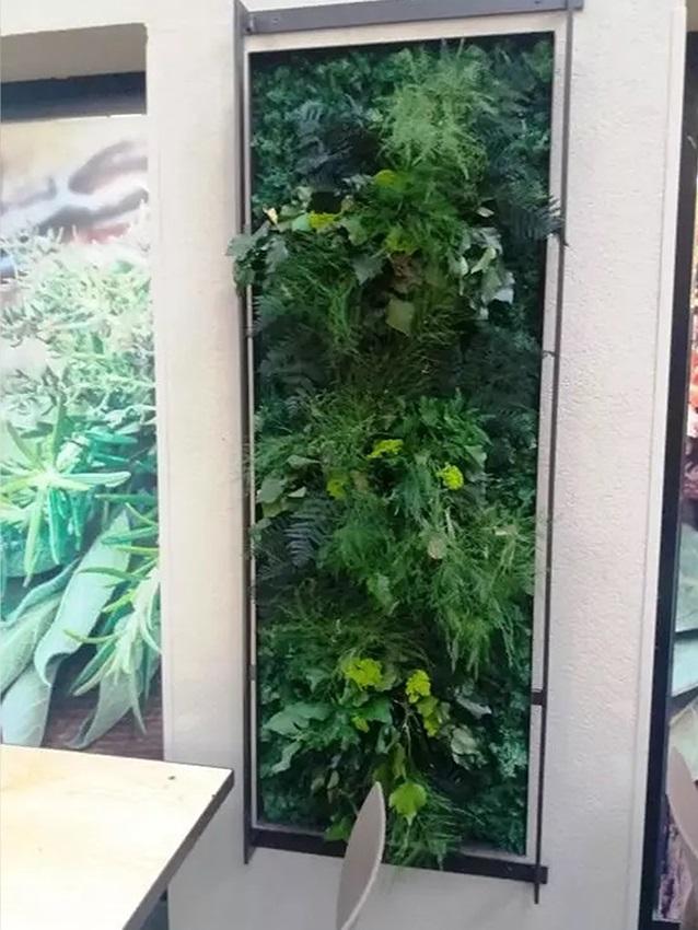 Giardini Vegetali Preservati - Sconti per Fioristi e Aziende - Adatto per Interno