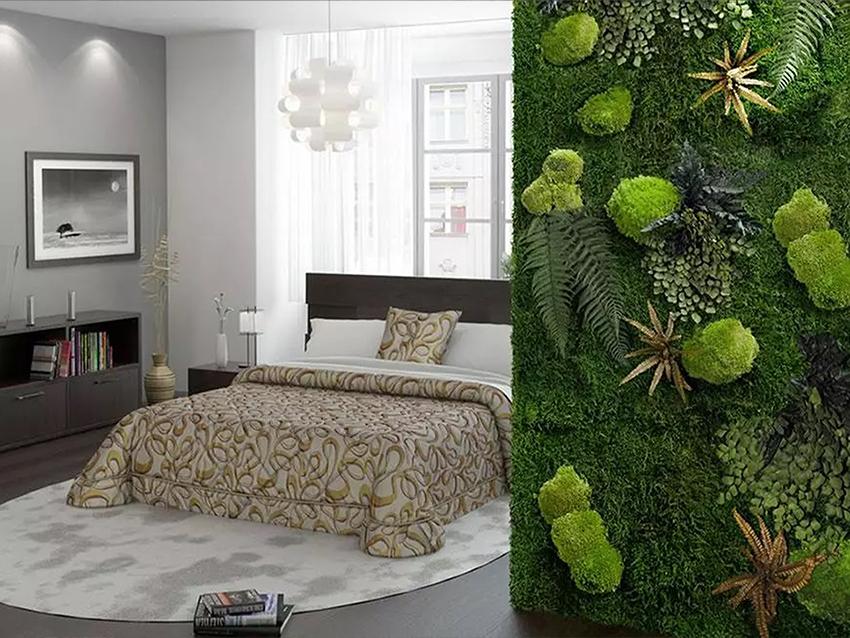 Giardini Vegetali Preservati - Sconti per Fioristi e Aziende - Adatto per Interno