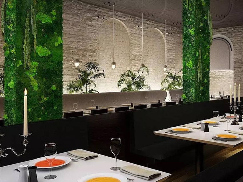 Giardini Vegetali Preservati - Sconti per Fioristi e Aziende - Adatto per Interno