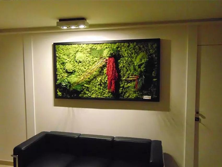 Giardini Vegetali Preservati - Sconti per Fioristi e Aziende - Adatto per Interno