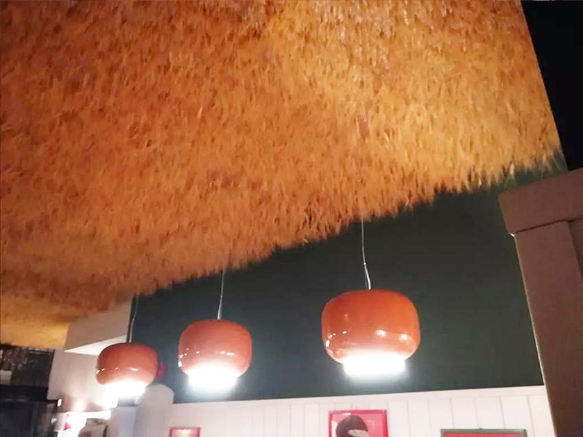 Soffitto Spighe di grano preservate a metro quadrato per Ristoranti, Hotels e Resort