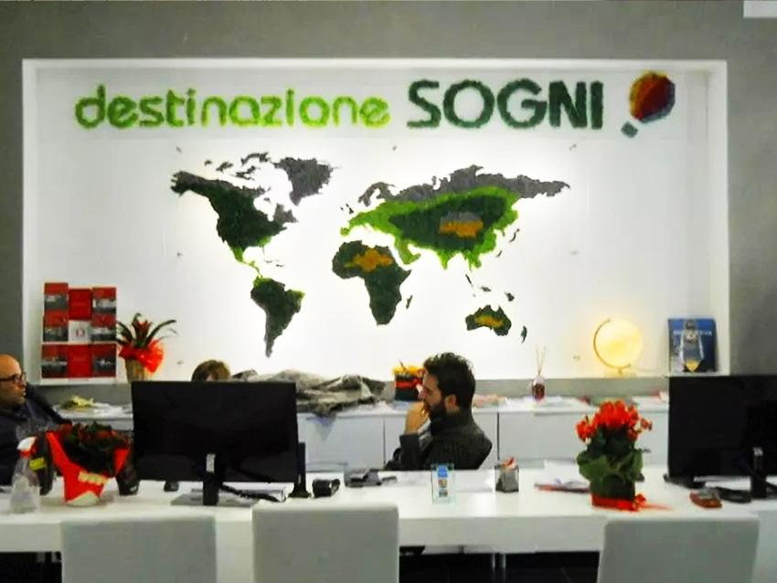 Parete Moss Stabilizzata Wall Moss  - Sconti per Fioristi e Aziende - a metro quadrato