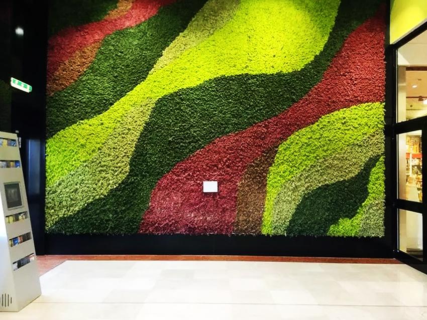 Parete Moss Stabilizzata Wall Moss  - Sconti per Fioristi e Aziende - a metro quadrato
