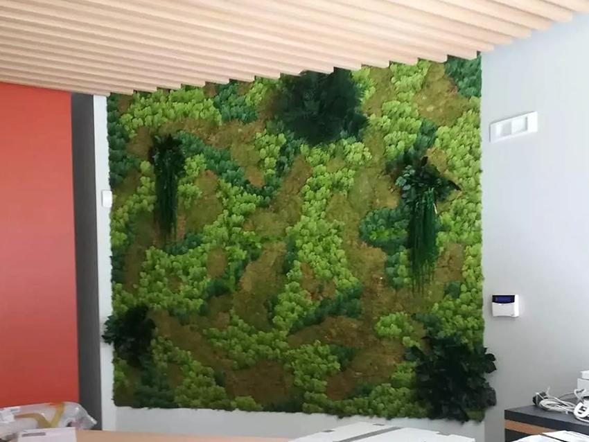 Parete Moss Stabilizzata Wall Moss a metro quadrato - Sconti per Fioristi e Aziende