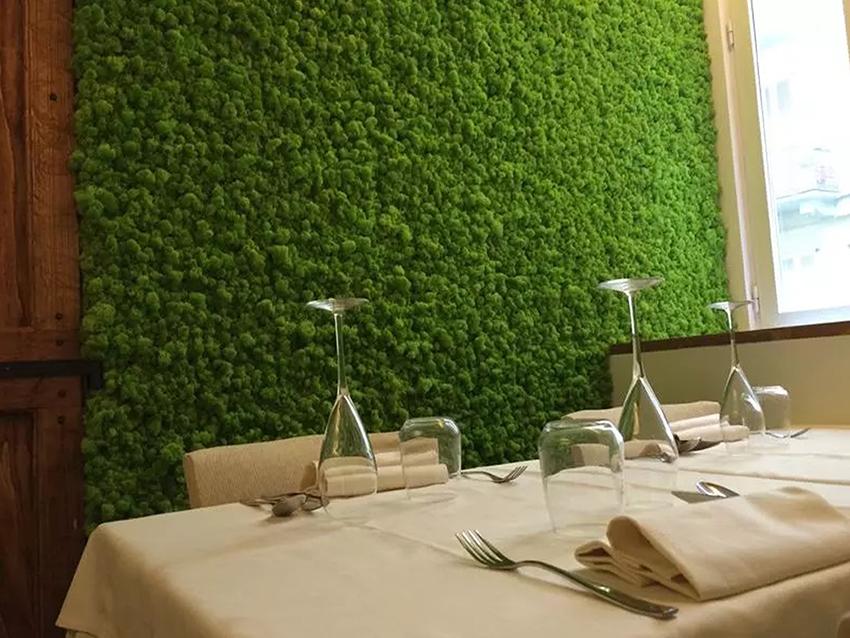 Parete Moss Stabilizzata Wall Moss  - Sconti per Fioristi e Aziende - a metro quadrato