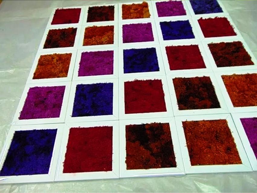 Parete Moss a Scacchiera a metro quadro  - Sconti per Fioristi e Aziende - Con cornici legno cm.20x20