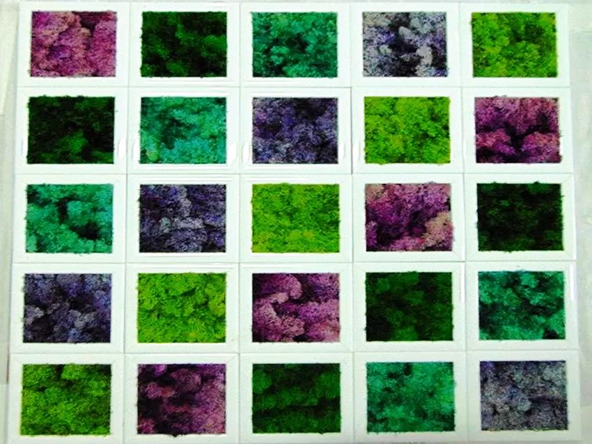 Parete Moss a Scacchiera a metro quadro  - Sconti per Fioristi e Aziende - Con cornici legno cm.20x20