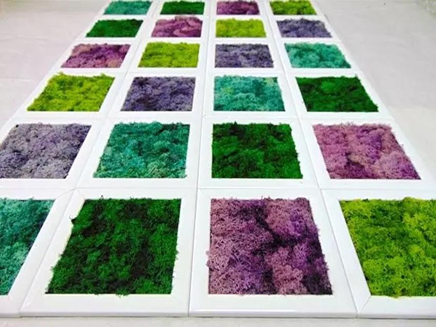 Parete Moss a Scacchiera a metro quadro  - Sconti per Fioristi e Aziende - Con cornici legno cm.20x20