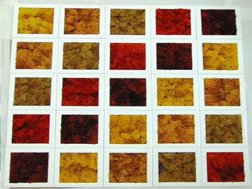 Parete Moss a Scacchiera a metro quadro  - Sconti per Fioristi e Aziende - Con cornici legno cm.20x20