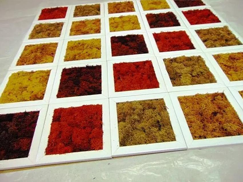 Parete Moss a Scacchiera a metro quadro  - Sconti per Fioristi e Aziende - Con cornici legno cm.20x20