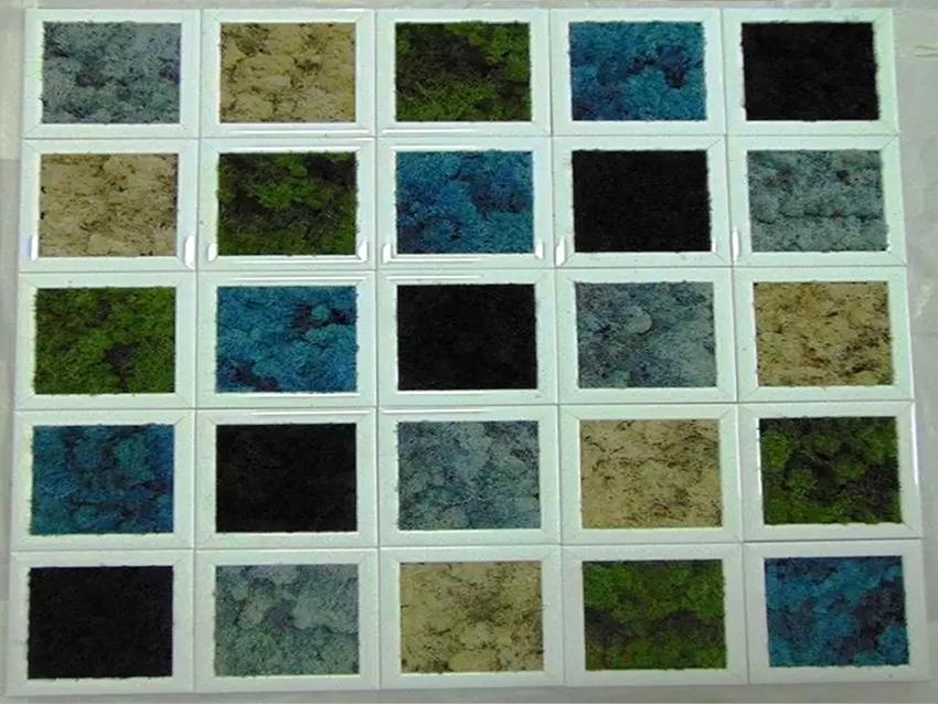 Parete Moss a Scacchiera a metro quadro  - Sconti per Fioristi e Aziende - Con cornici legno cm.20x20