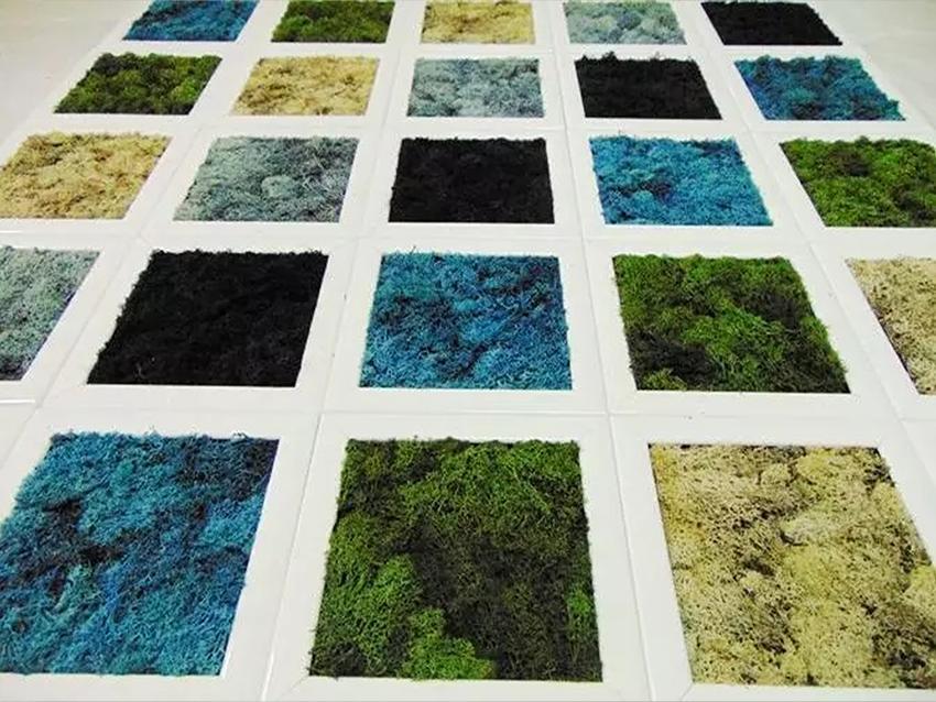 Parete Moss a Scacchiera a metro quadro  - Sconti per Fioristi e Aziende - Con cornici legno cm.20x20