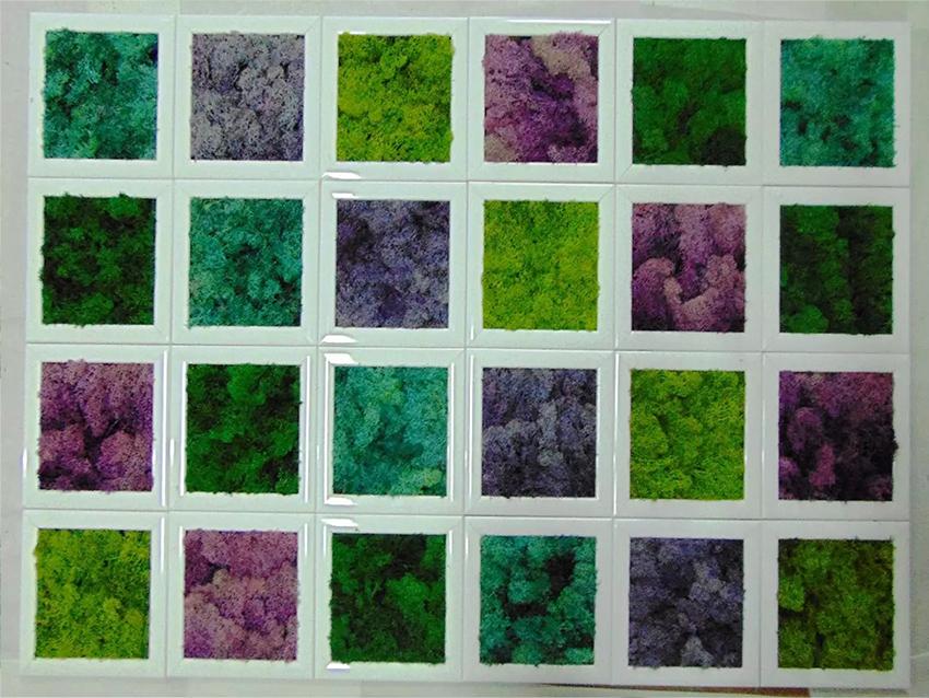 Parete Moss a Scacchiera a metro quadro  - Sconti per Fioristi e Aziende - Con cornici legno cm.20x20