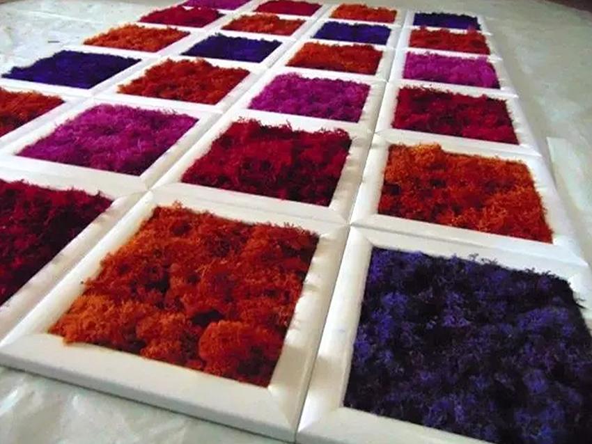 Parete Moss a Scacchiera a metro quadro  - Sconti per Fioristi e Aziende - Con cornici legno cm.20x20