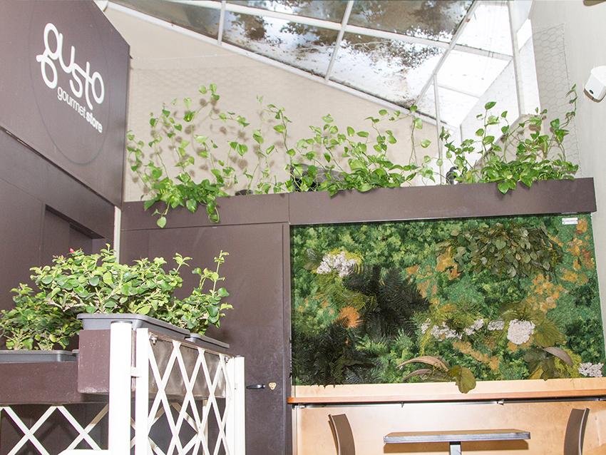 Giardini Vegetali Preservati - Sconti per Fioristi e Aziende - Adatto per Interno