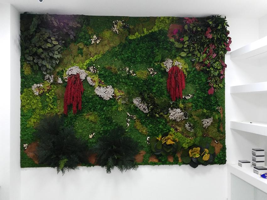 Giardini Vegetali Preservati - Sconti per Fioristi e Aziende - Adatto per Interno