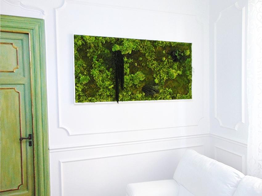 Giardini Vegetali Preservati - Sconti per Fioristi e Aziende - Adatto per Interno