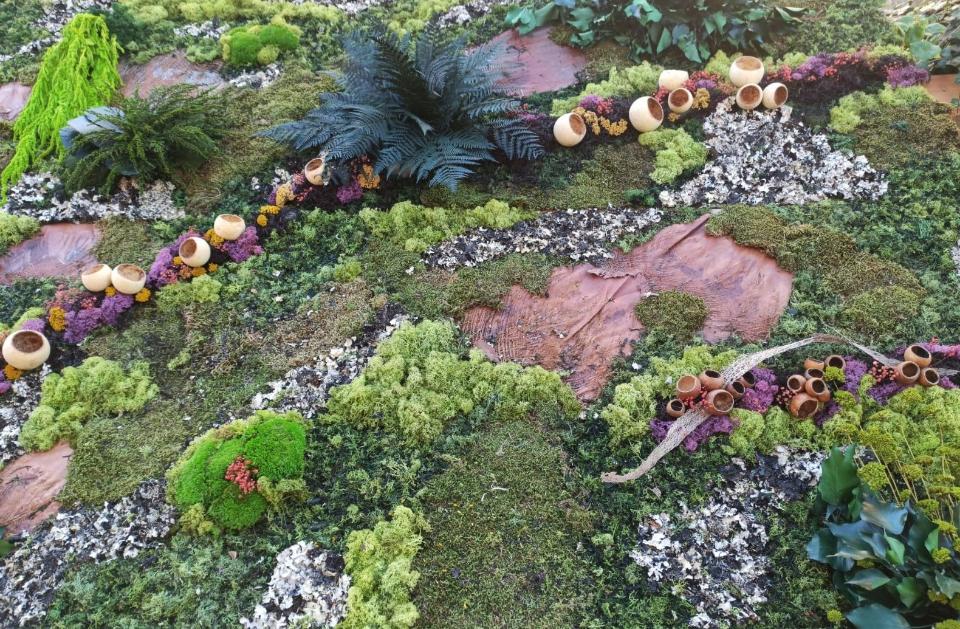 Giardini Vegetali Preservati - Sconti per Fioristi e Aziende - Adatto per Interno