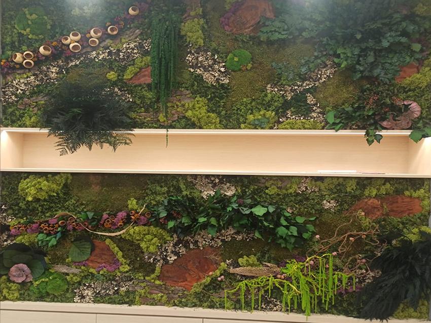 Giardini Vegetali Preservati - Sconti per Fioristi e Aziende - Adatto per Interno