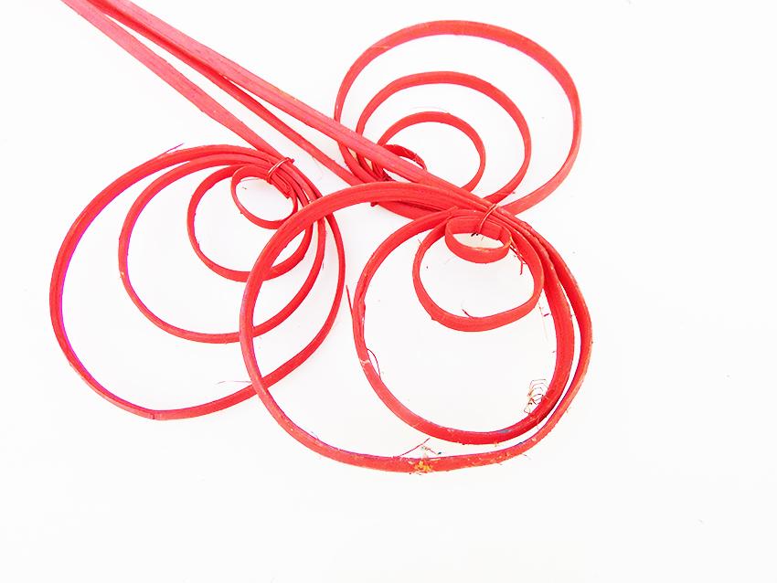 Cane Coil x 8 Colorato - Sconti per Fioristi e Aziende - H 70/80