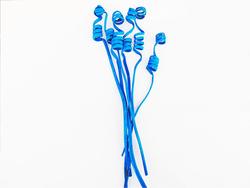 Cane Spring Jumbo x 8 Naturale Colorato - Sconti per Fioristi e Aziende