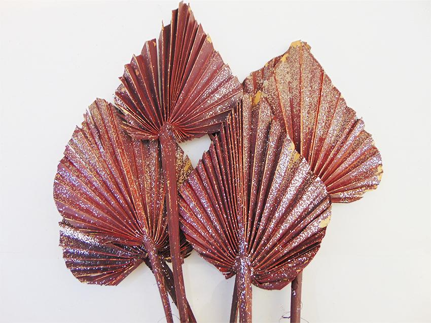 Palm Spear  Naturale Colorata - Sconti per Fioristi e Aziende