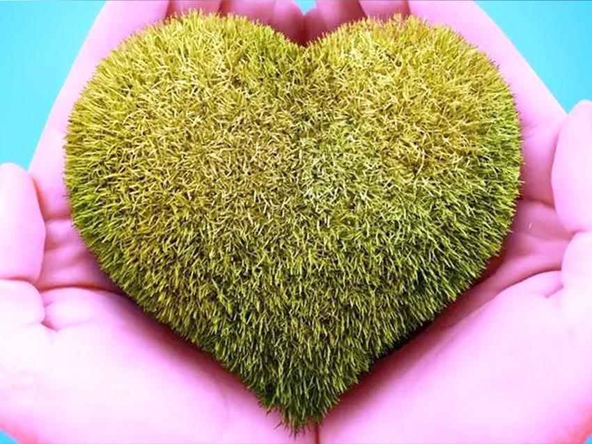 Cuore  verde muschiato velvet cm. 8 - 12 - 15 Articolo per S. Valentino - Sconti per Fioristi e Aziende