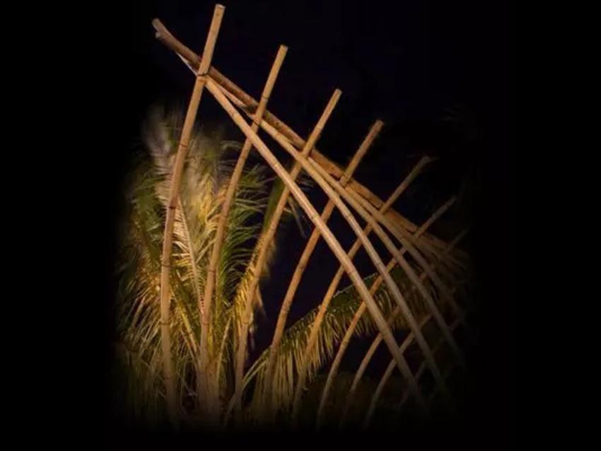 Canne di bamboo naturale  altezze e diametri diversi - Sconti per Fioristi e Aziende