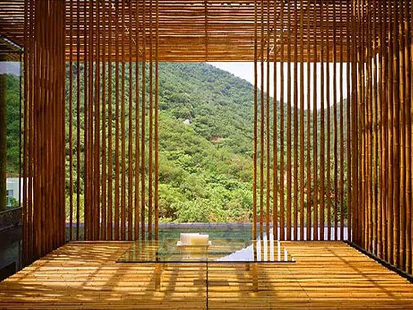Canne di bamboo naturale  altezze e diametri diversi - Sconti per Fioristi e Aziende
