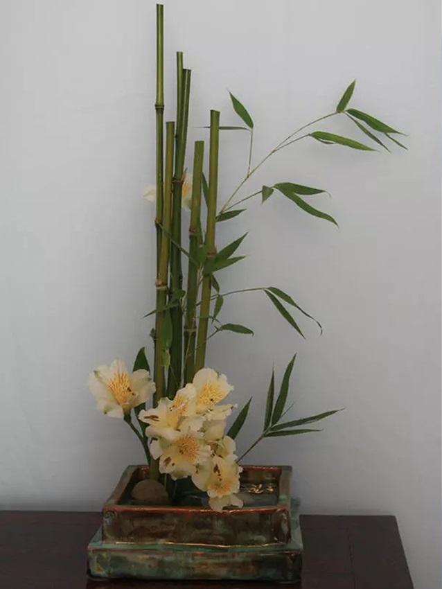 Canne di bamboo naturale  altezze e diametri diversi - Sconti per Fioristi e Aziende