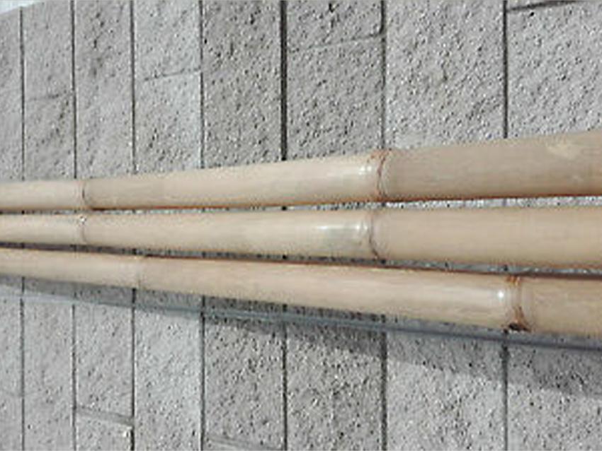 Canne di bamboo naturale  altezze e diametri diversi - Sconti per Fioristi e Aziende