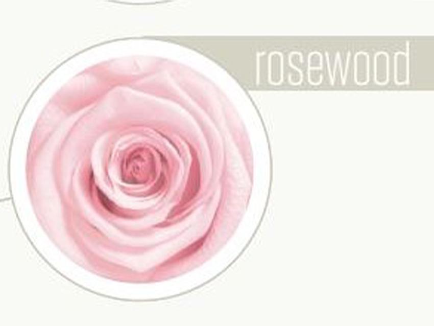 Bocciolo di Rosa Preservata Premium  cm. 6,5 - Box da 6 rose - Sconti per Fioristi e Aziende e Wedding