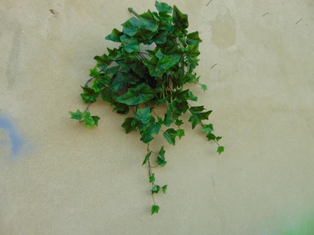 Edera Cadente Mini H 115 - Sconti per Fioristi e Aziende . - Con 618 foglie