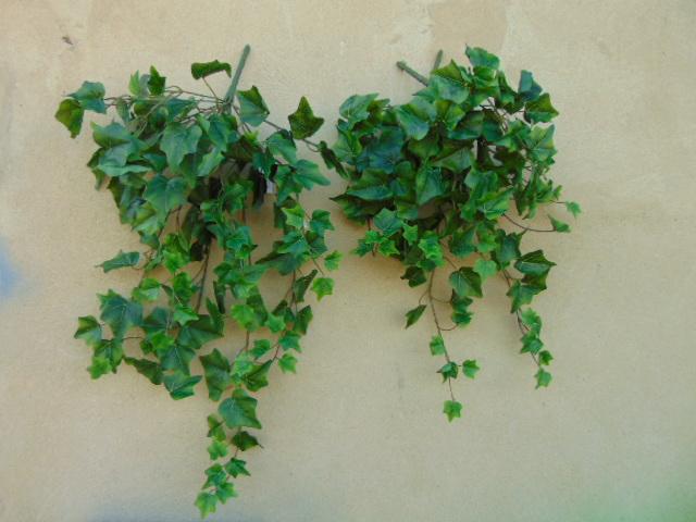 Edera Cadente Mini H 180  - Sconti per Fioristi e Aziende . - Con 1076 foglie
