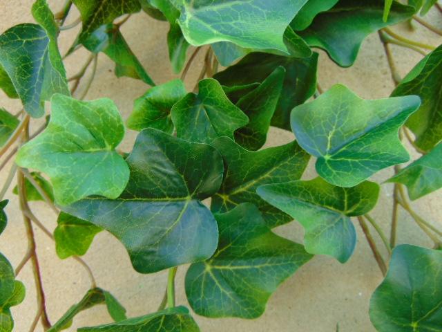 Edera Cadente Mini H 180  - Sconti per Fioristi e Aziende . - Con 1076 foglie