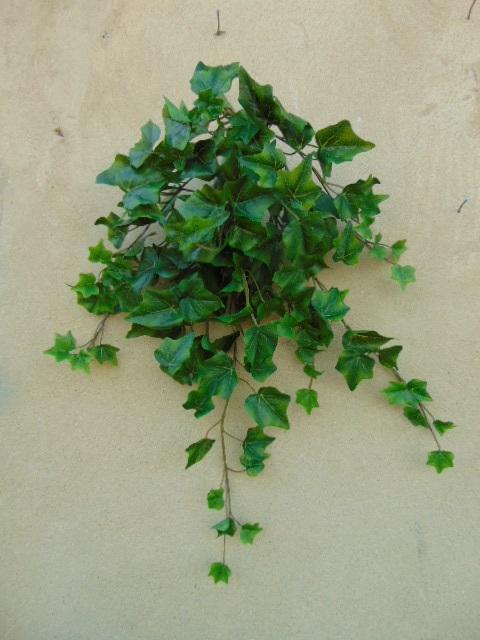 Edera Cadente Mini H 180  - Sconti per Fioristi e Aziende . - Con 1076 foglie