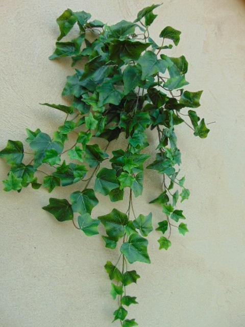 Edera Cadente Mini H 180  - Sconti per Fioristi e Aziende . - Con 1076 foglie