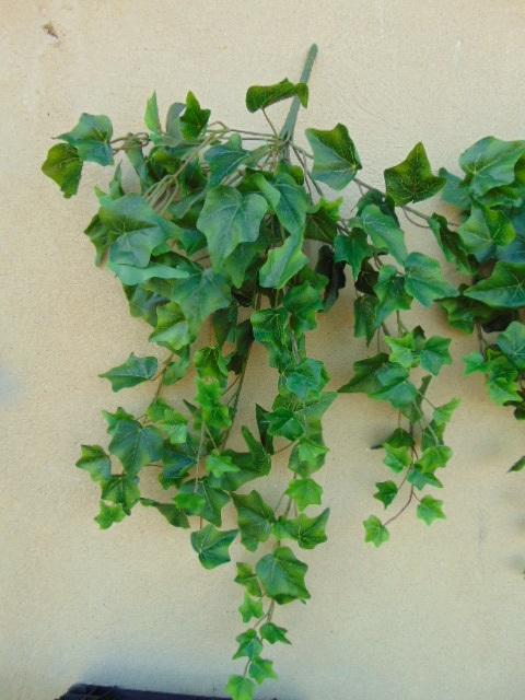 Edera Cadente Mini H 115 - Sconti per Fioristi e Aziende . - Con 618 foglie