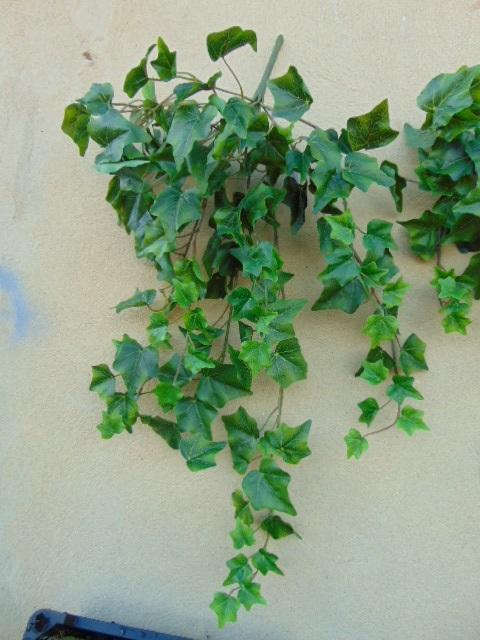 Edera Cadente Mini H 115 - Sconti per Fioristi e Aziende . - Con 618 foglie