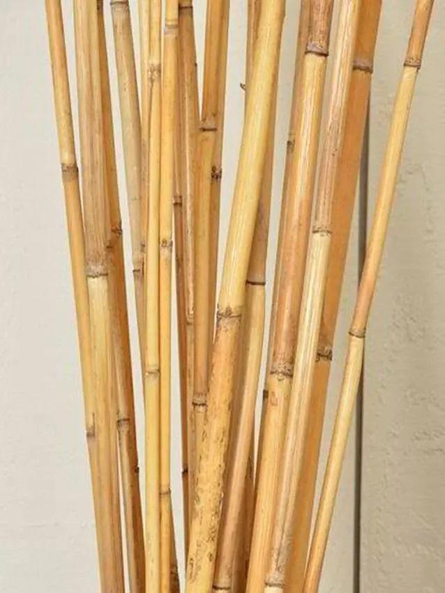 Canna Bamboo per Agricoltura dm. 25/28  - Sconti per Fioristi e Aziende . - H 180 - 210 - 240 - 300