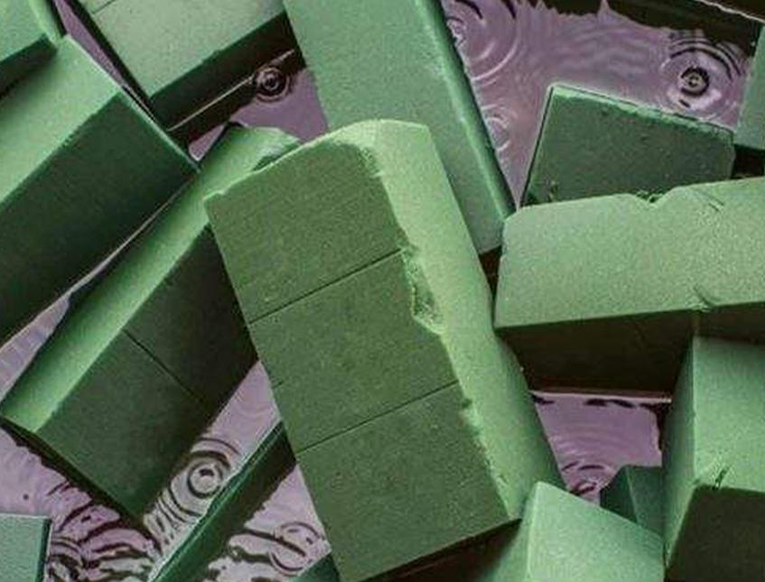 Spugna Eden Professional - Sconti per Fioristi e Aziende - Cartone da 20 pezzi