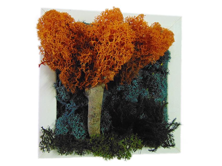 Quadro muschiato alberi cm. 20 x 20 - Sconti per Fioristi e Aziende .