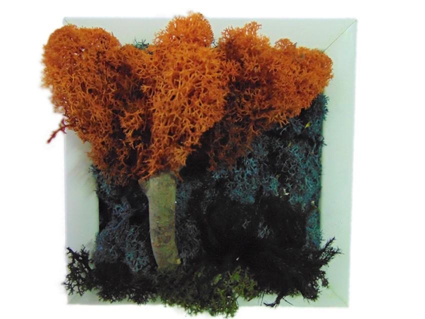 Quadro muschiato alberi cm. 20 x 20 - Sconti per Fioristi e Aziende .