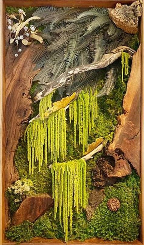 Amaranthus caudatum stabilizzato - Sconti per Fioristi e Aziende . - H 90/110