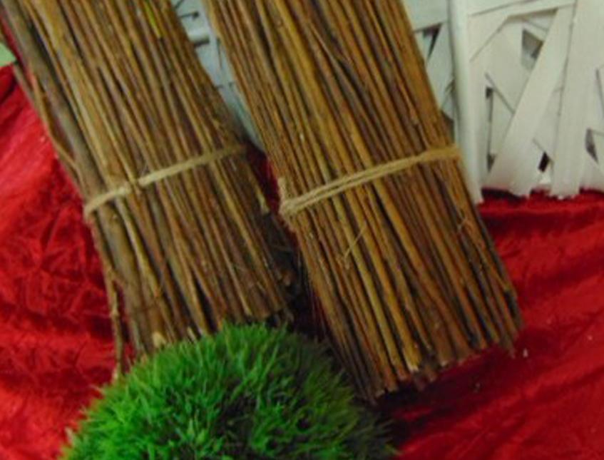 Fascina di Salice Naturale - Sconti per Fioristi e Aziende . - Con rami pendenti in poliestere