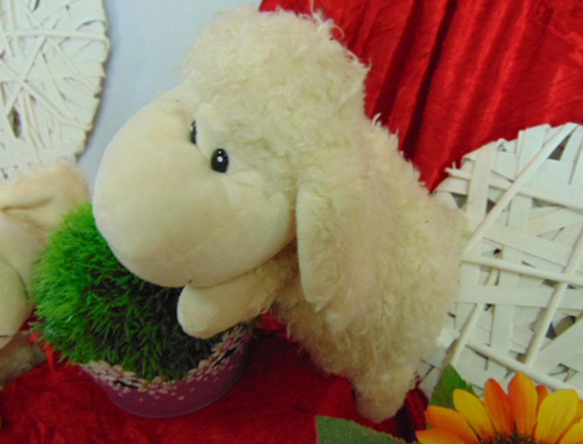 Cuscino pecora merinos  richiudibile - Sconti per Fioristi e Aziende