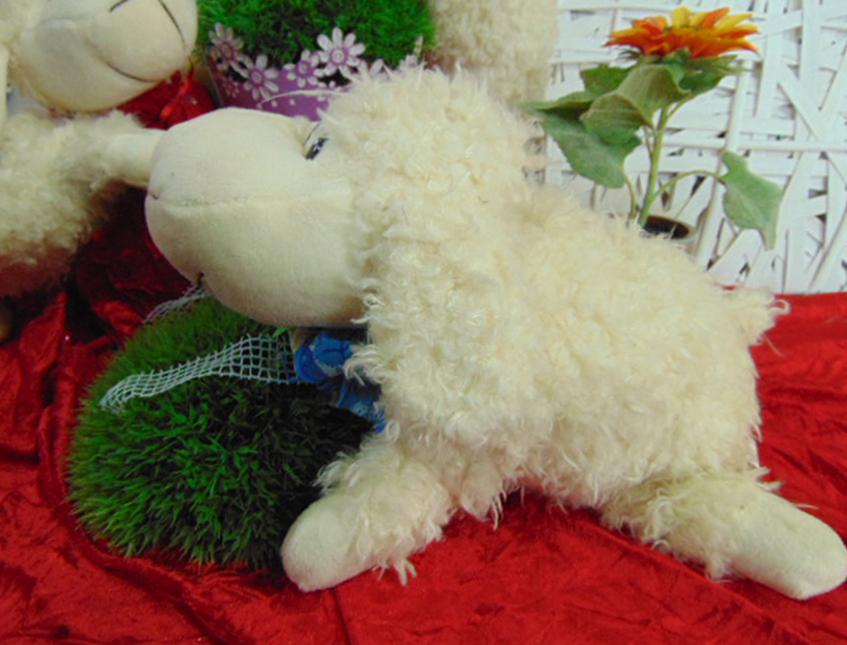 Cuscino pecora merinos  richiudibile - Sconti per Fioristi e Aziende