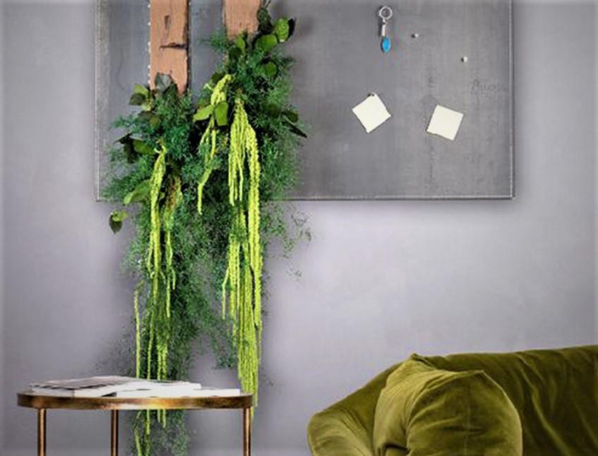 Amaranthus caudatum stabilizzato - Sconti per Fioristi e Aziende . - H 90/110