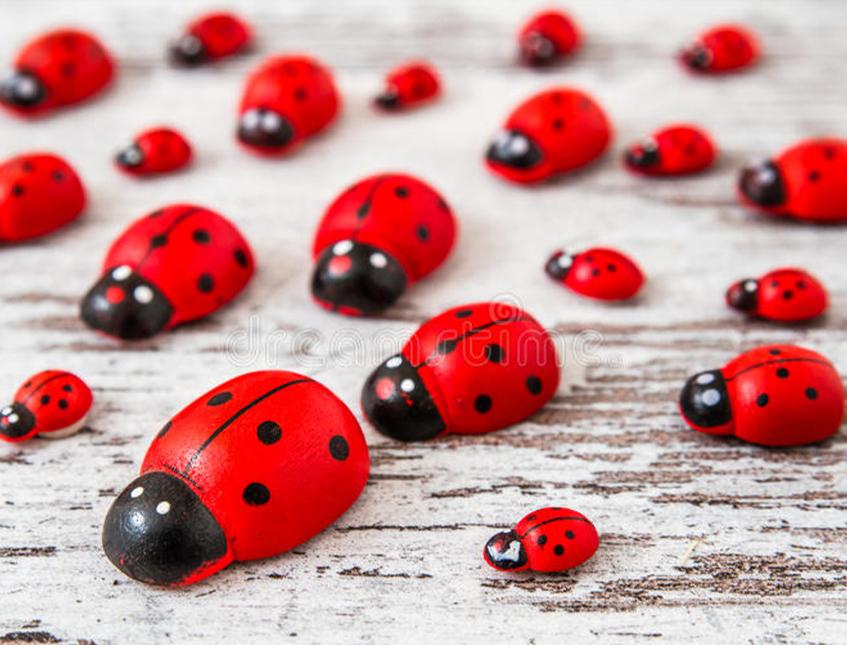 Coccinelle Rosse in legno mm.13 - mm.18 - mm. 25 - Sconti per Fioristi e Aziende